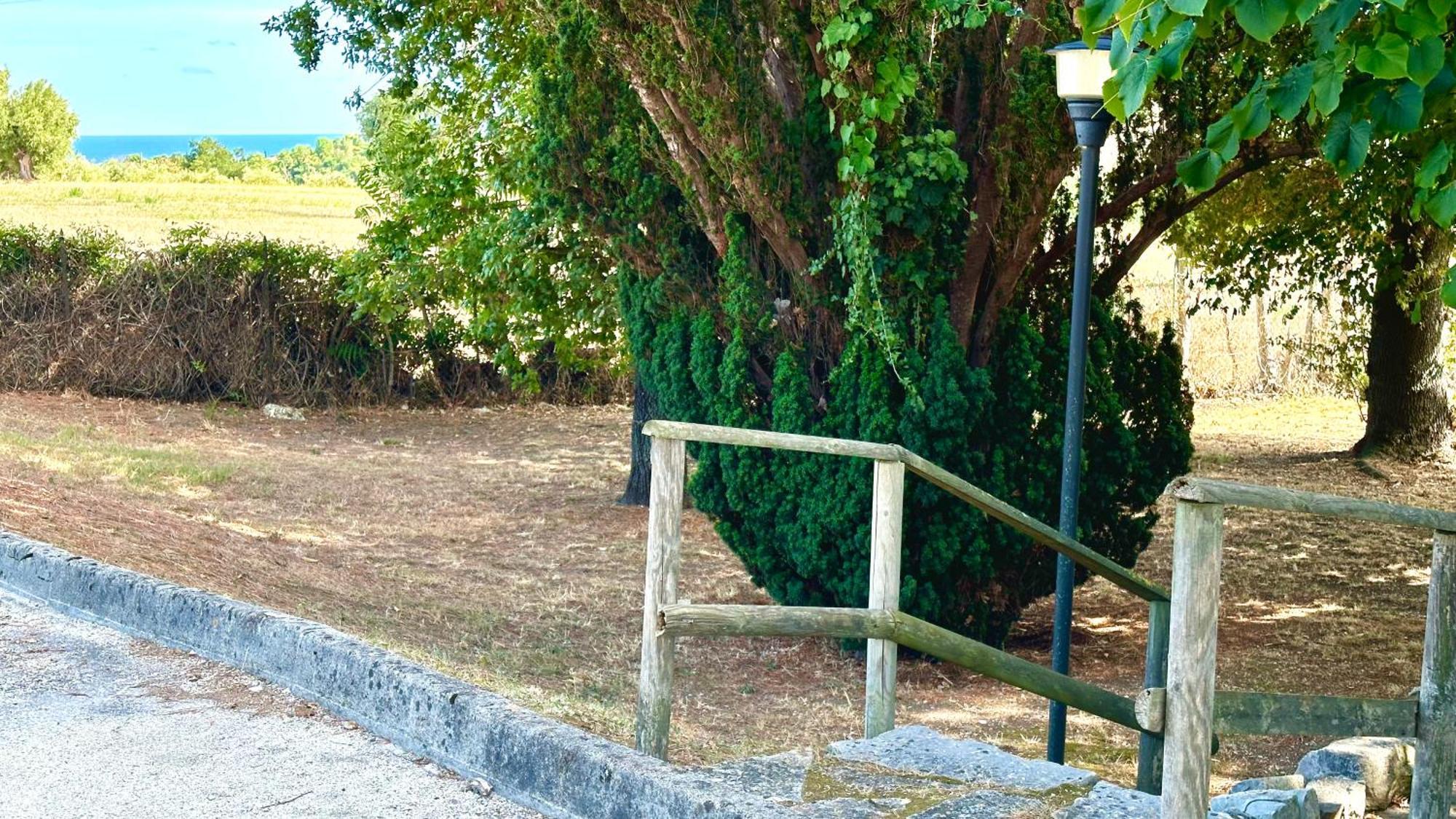 S214 - Sirolo, Trilocale Con Giardino In Zona Tranquilla 아파트 외부 사진